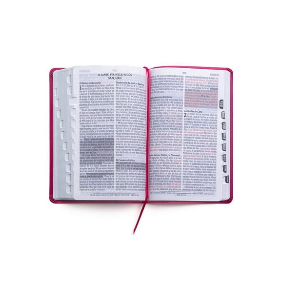 Santa Biblia de Promesas Reina-Valera 1960 / Tamaño Manual / Letra Grande / Piel Especial Con Índice / Fucsia // Spanish Promise Bible Rv60 / Handy Size / Large Print / Leathersoft with Index / Fuchsi