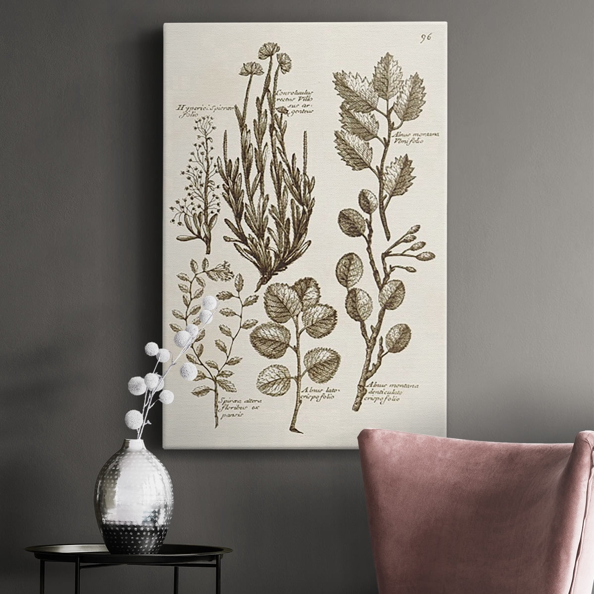 Sepia Botanical Journal VIII Premium Gallery Wrapped Canvas - Ready to Hang