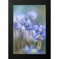 thumbnail image 2 of Parker, Jacky 11x14 Black Modern Framed Museum Art Print Titled - Hepatica, 2 of 5