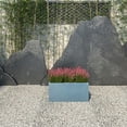 thumbnail image 2 of LeisureMod Bloom Fiberstone and MGO Clay Planter, Mid-Century Modern Rectangular Planter for Indoor and Outdoor Use (Aged Concrete, 9 Inch), 2 of 9