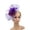 Purple_003, variant on Fgnfyis Fascinator for Women Bow Beret Hat with Veil Headpiece Hair Clip Fascinators Hats for Women Tea Party White_007 One Size