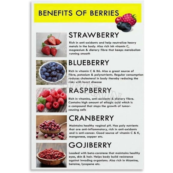 Berries Types And Benefits Guide Poster Health Fruit Kitchen Wall Art for Bedroom Living Room Decor