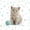Green White, variant on Manfei Kawaii Kimono Cat Twin Bedding, Blossoms Branch Bedding Comforter Set, Pink Teal, Pink Reversible, 7pcs