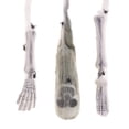 thumbnail image 1 of Kit de Victime de Cocon Araignée 3 Pcs, 1 of 2