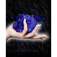 thumbnail image 2 of Babette 15x18 White Modern Wood Framed Museum Art Print Titled - After the rain there will be sunshine, 2 of 4