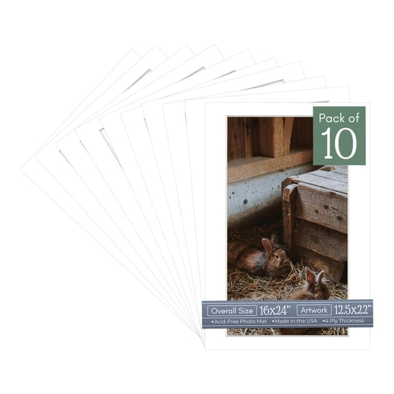 White Picture Frame Mat for 16x24 Frames - Fits 12.5x22 Photos - 10 Mats