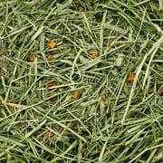 Kaytee Forti-Diet Timothy Hay plus with Sweet Potatoes For Rabbits, Guinea Pigs, Chinchillas, and Other Small Animals, 24 oz