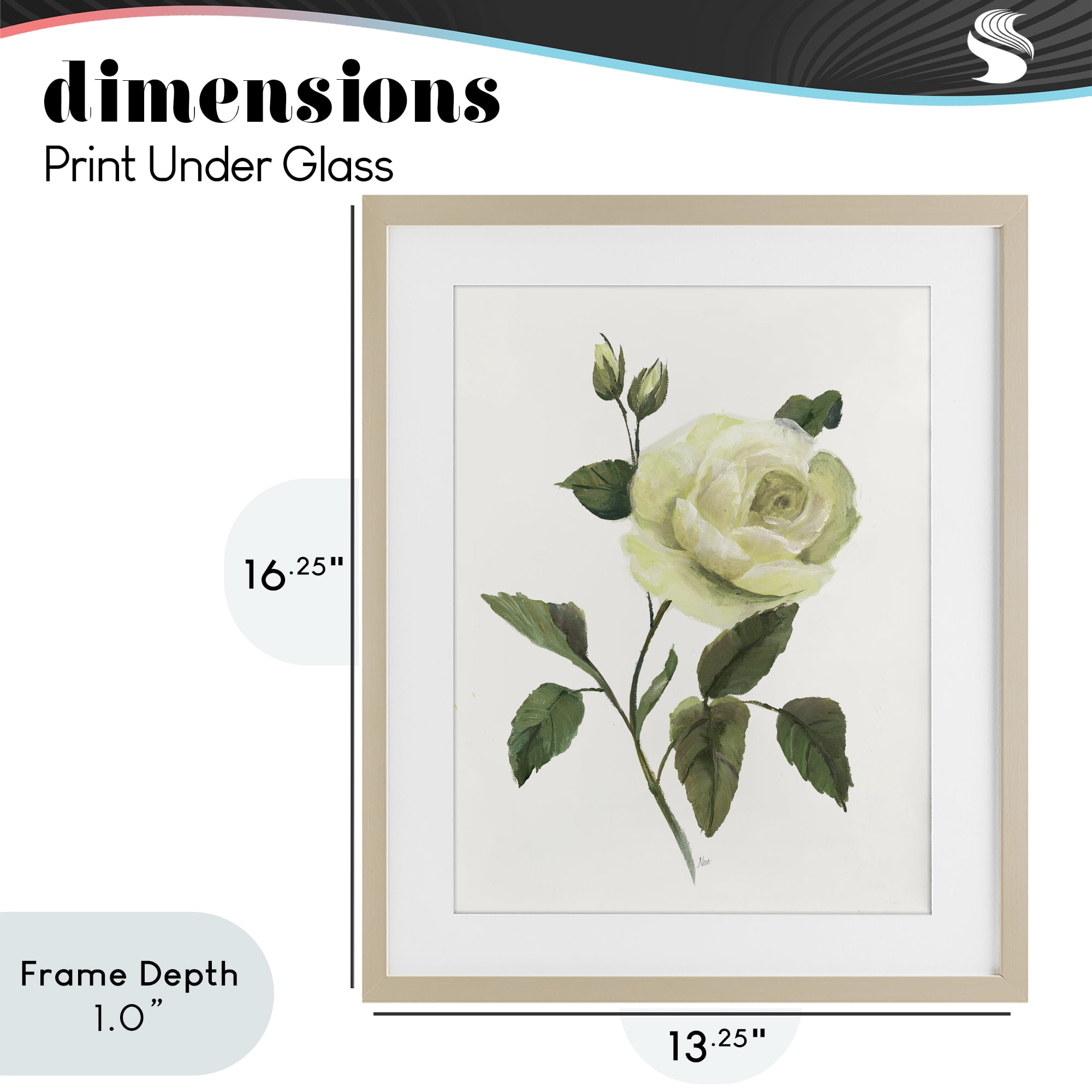 Stupell Industries Cream Garden Rose with Buds Birch Framed Print Under Glass, design by Nan