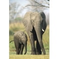 thumbnail image 2 of Disneynature: Earth (Blu-ray + DVD), 2 of 5