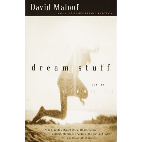 Pre-Owned Dream Stuff: Stories (Paperback) 0375724494 9780375724497