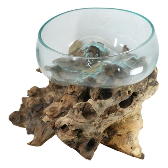 Balinese Natural Driftwood With Large Molten Glass Fruit Succulents Decor Bowl