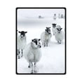 thumbnail image 1 of RYLABLUE Couverture en Polaire de Mouton à Queue de Neige Mignon Jette 58x80 Pouces, 1 of 3