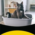 thumbnail image 3 of Purina Tidy Cats Tidy Max Clumping Cat Litter, Lightweight, Odor Control 24/7, 17 lb. Box, 3 of 8