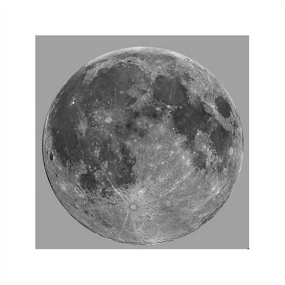 Wallhogs Full Moon Cutout Wall Decal