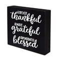 thumbnail image 1 of LifeSong Milestones 6x6 Modern Inspirational Shadow Box for Home Decorations - Forever Thankful (Black), 1 of 10