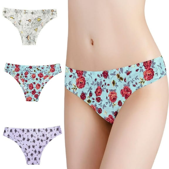 Women Silky Comfy Low Waist Underwear for Women Panties Breathable Sexy Nylon Has Elasticity Underpant Sexy Panties for Women