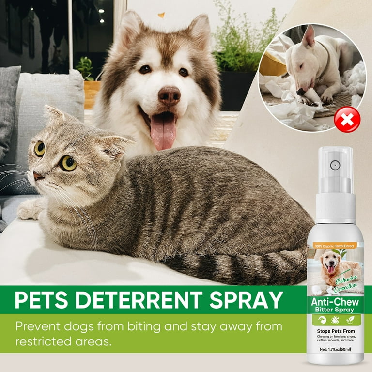 Dog licking deterrent top