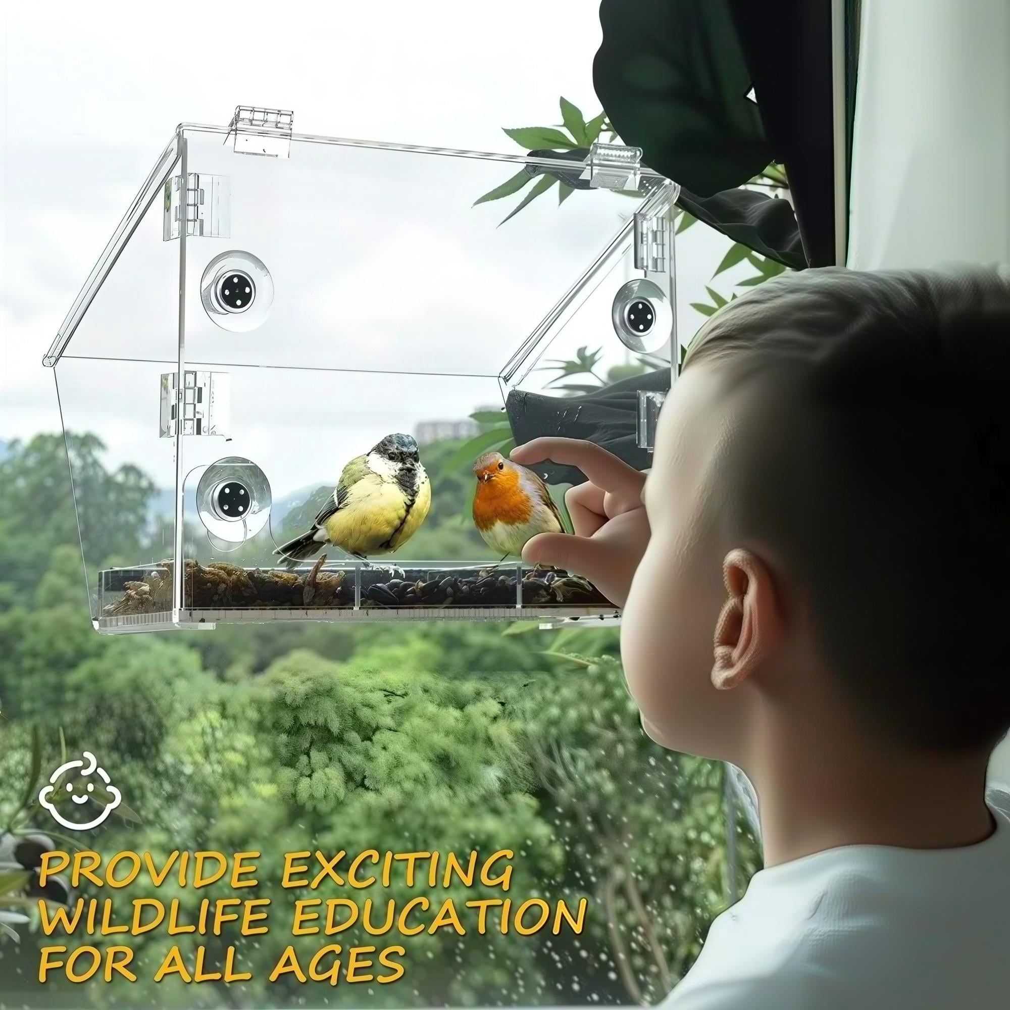 Window Bird Feeder with Strong Suction Cups – Acrylic Birdfeeder for Outdoor Wild Bird Viewing, Mounts on Window, Wall, or Bird Pole