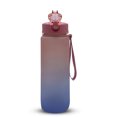thumbnail image 1 of Soidarity Colador de botella de agua para hacer ejercicio con gradiente de 1L, soporte de vaso de plástico a prueba de fugas de gran capacidad para viajes Ropa Deportiva, Zapatos No.03 Soidarity OD002189-03, 1 of 6