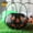 Black, variant on Halloween+Sale+Clearance,Halloween Decorations Outdoor,Halloween Pumpkin Bucket 1Pc Small Plastic Pumpkin Bucket For Kids Pumpkin Bucket Pumpkin Pail Halloween Candy Bucket(White 8in)