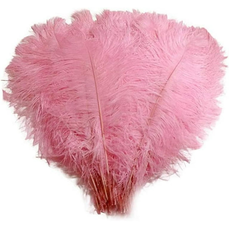 120 Ostrich Feathers (12-16 Inch)