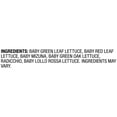 thumbnail image 4 of Marketside Spring Mix Salad Blend, 5 oz Bag (Fresh), 4 of 6