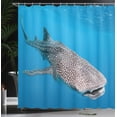 thumbnail image 4 of Ambesonne Ocean Shower Curtain, Swimming Whale Sea, 69"Wx75"L, Dimgray Blue, 4 of 5