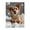 500 Pieces, variant on Canine Mammal Fur Fluff Tufts 1000-Piece Wooden Jigsaw Puzzle for Adults, Fun & Challenging Family Brain-Teaser, Perfect Home Decor & Gift