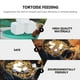 thumbnail image 3 of EeaseMX 24 cubos de calcio para sustrato de acuario de reptiles, mineral de calcio natural para tortugas., 3 of 8
