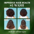 thumbnail image 4 of Herbal Essences Bio:Renew Argan Oil Of Morocco Repairing Color-Safe Shampoo And Conditioner Bundle, 4 of 8