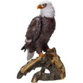 thumbnail image 4 of Ebros Gift American Eald Eagle Perching on Tree Branch Resin Figurine Statue, 4 of 5