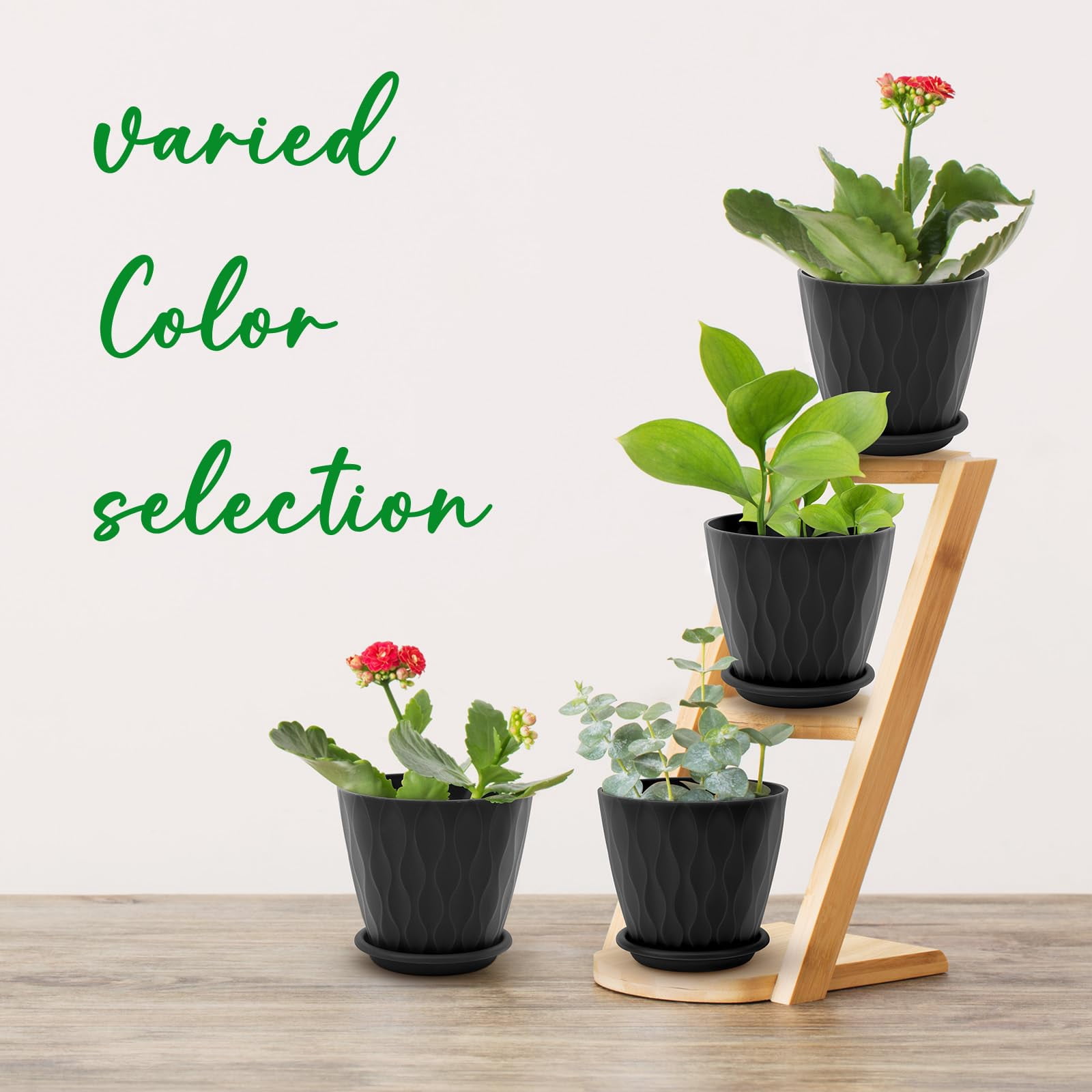Plant Pots