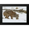 thumbnail image 2 of Verdon 24x17 Black Modern Framed Museum Art Print Titled - Bob The Cat, 2 of 5