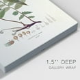 thumbnail image 3 of Botanical Society Ferns VI Premium Gallery Wrapped Canvas - Ready to Hang, 3 of 9
