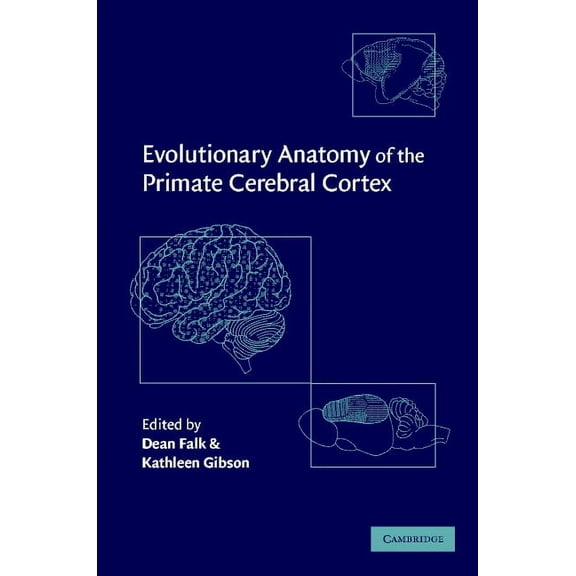 Evolutionary Anatomy of the Primate Cerebral Cortex, (Hardcover)