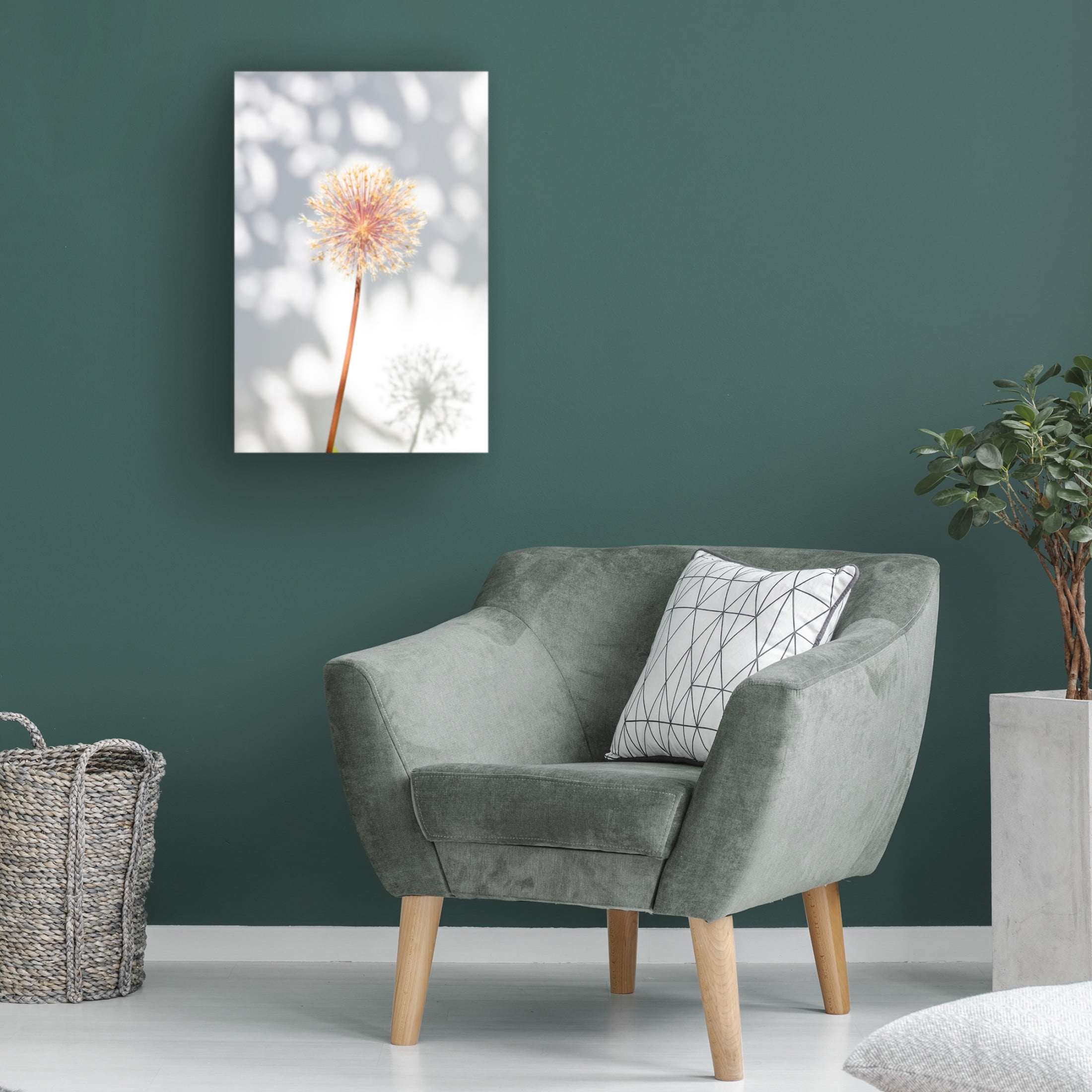 Trademark Fine Art Pictufy Studio Withered Flower, Seed House 2 Canvas Wall Art