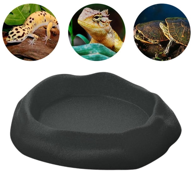 Plato De Alimentación Para Reptiles Plato De Comida Y Agua P | Meses Sin Interés