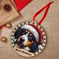 thumbnail image 4 of Polish Lowland Sheepdog Christmas Dog Ornament, Polish Lowland Sheepdog Dog Christmas Decor, Polish Lowland Sheepdog Dog Suncatcher Gift, Xmas Decorations, Dog Gifts, 4 of 4