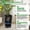 F3055 Height 21.7 inches Spray-on style Black background with white dots, variant on Self-Watering Tall Planters Set of 2 – Modern Rectangular Plant Pots with Drainage Holes, Water Level Monitor, Inner Bucket, Wheels – White, F2240 Direct Injection Molded, 16 inches tall