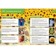 thumbnail image 3 of Student Book 1, 3 of 4