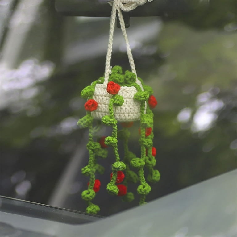 bird's nest philodendron Bird's Nest Fern Nidus – Lichtenfelt's main image 1