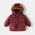 thumbnail image 6 of Staki Boy's Winter Coat Waterproof Kids Puffer Jacket Thicken Parka Fleece Snow Outerwear with Hood Boy Winter Coat(Brick Red,1-2 Years), 6 of 7