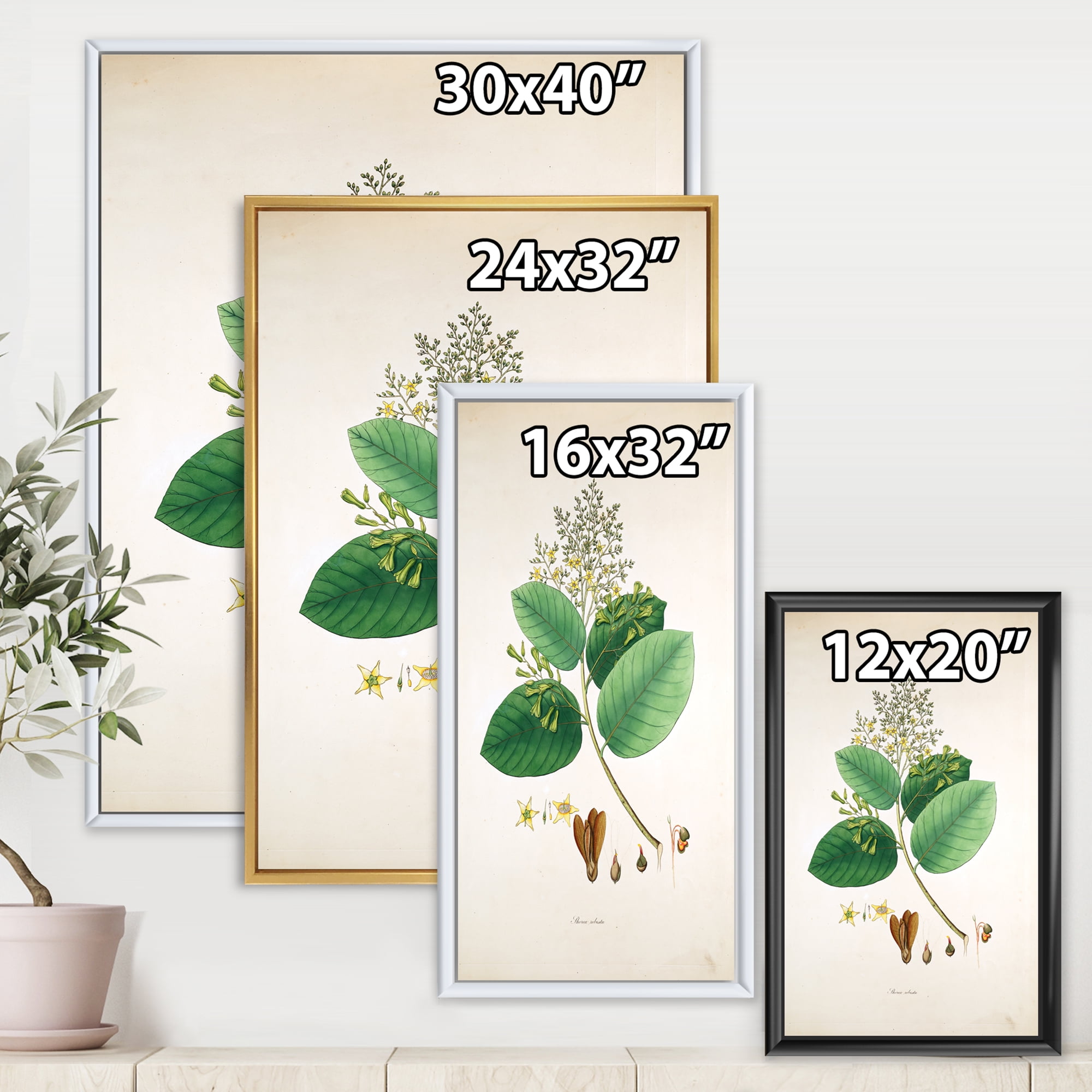 Ancient Botanicals III 12 in x 20 in Framed Painting Canvas Art Print, by Designart
