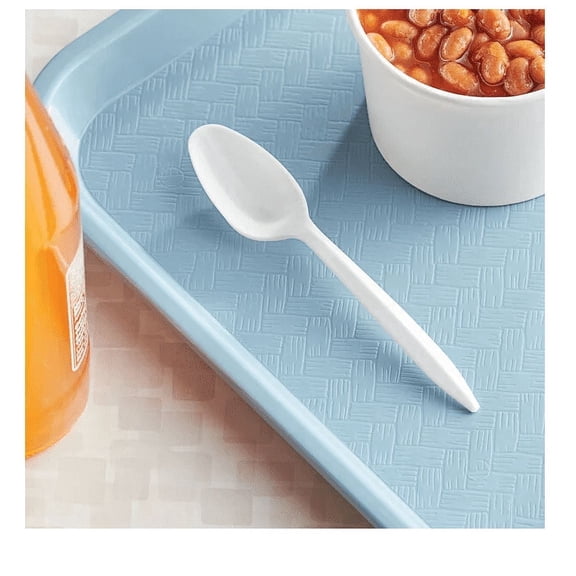 Plasticpro Cutlery Plastic Teaspoons Medium Weight Disposable Silverware White (1000 Count)