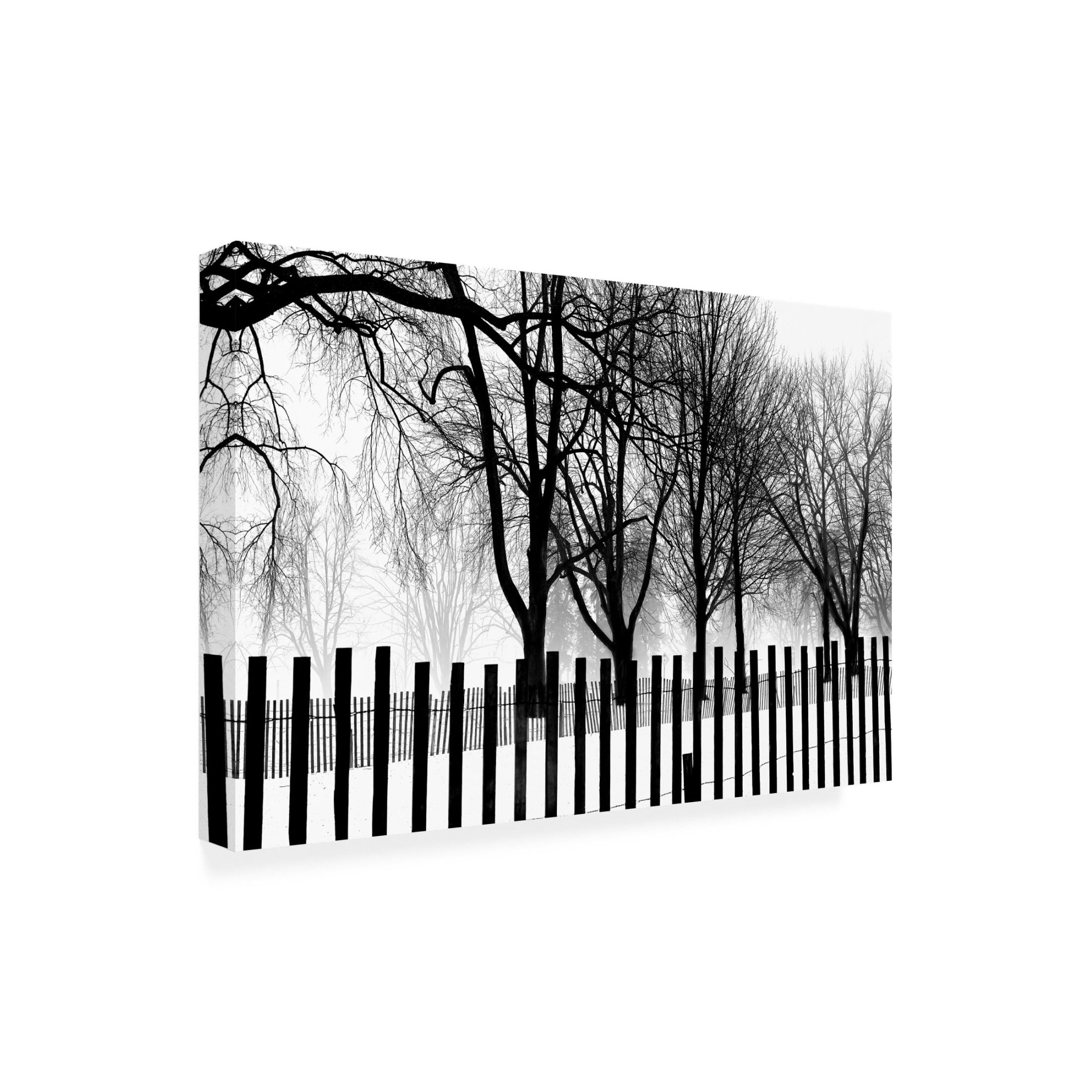 Canvas Wall Art - Clive Branson 'High Contrast Trees In Winter' Wall Art for Living Room, Bedroom, or Office Décor by Trademark Fine Art - 24 x 16 Inches