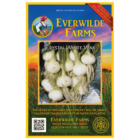 - Everwilde Farms - 500 Crystal White Wax Onion Seeds - Gold Vault Jumbo Bulk Seed Packet