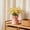 Pink, variant on CaiYueKe Plastic Vase Small Decorative Vase for Home Decor Wedding Table Centerpiece Bookshelf Desktop Decor Imitation Ceramic Non Fragile Artificial Flower Arrangement Gift for Various Occasions