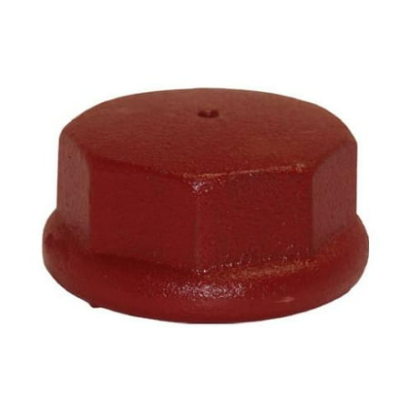 Cast Iron Water - Water Source DC125 Well Point Drive Cap, Cast Iron, 1.25-In.