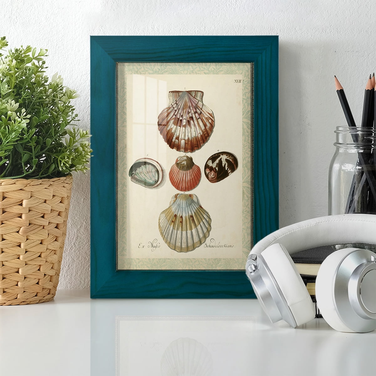 Bookplate Shells III - Framed Print w/glass - Ocean Blue