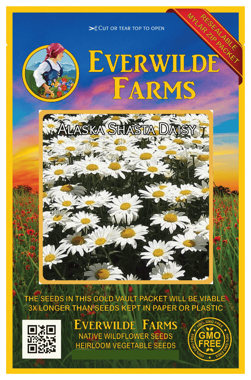 Details about   2000 Black Eyed Susan Wildflower Seeds Everwilde Farms Mylar Seed Packet 